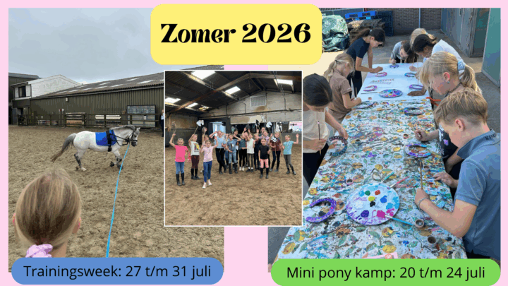 Mini pony kamp (1)