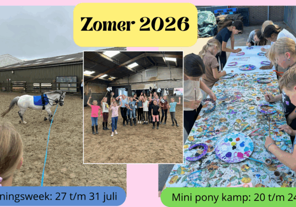 Mini pony kamp (1)