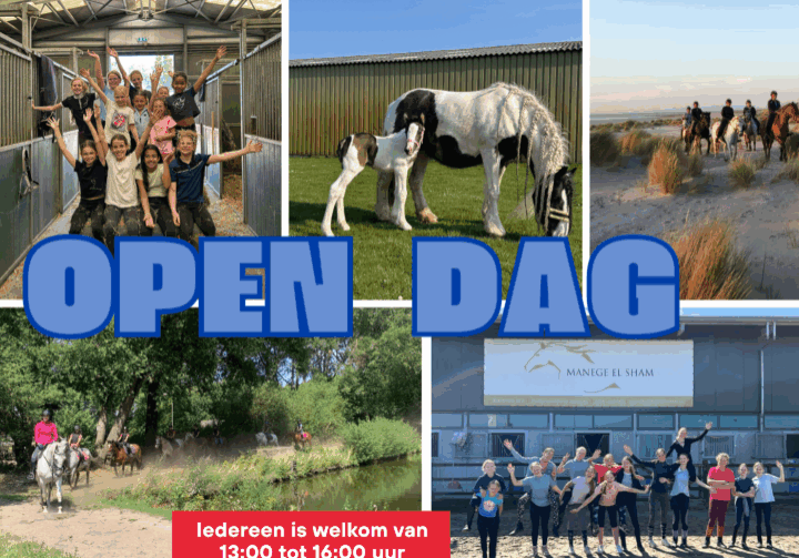 Open dag