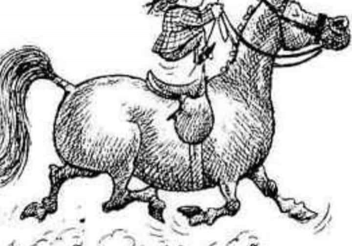 pony.. pony..