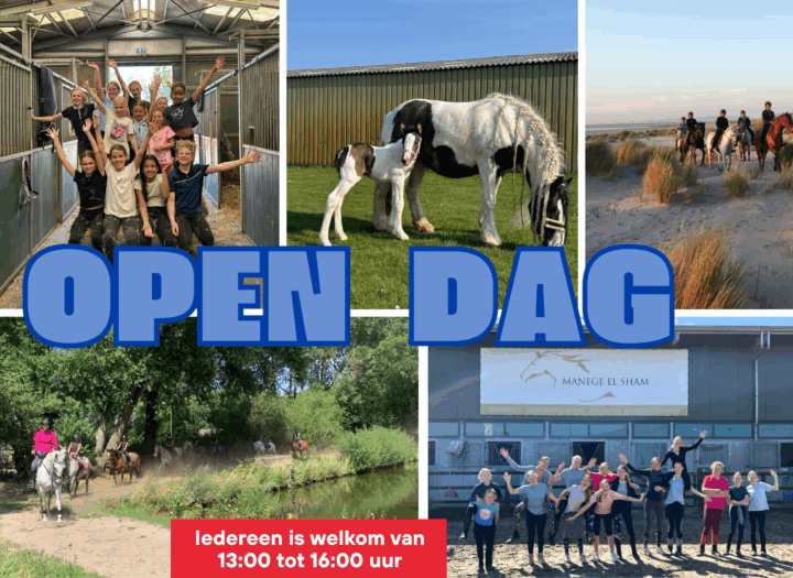 Open dag